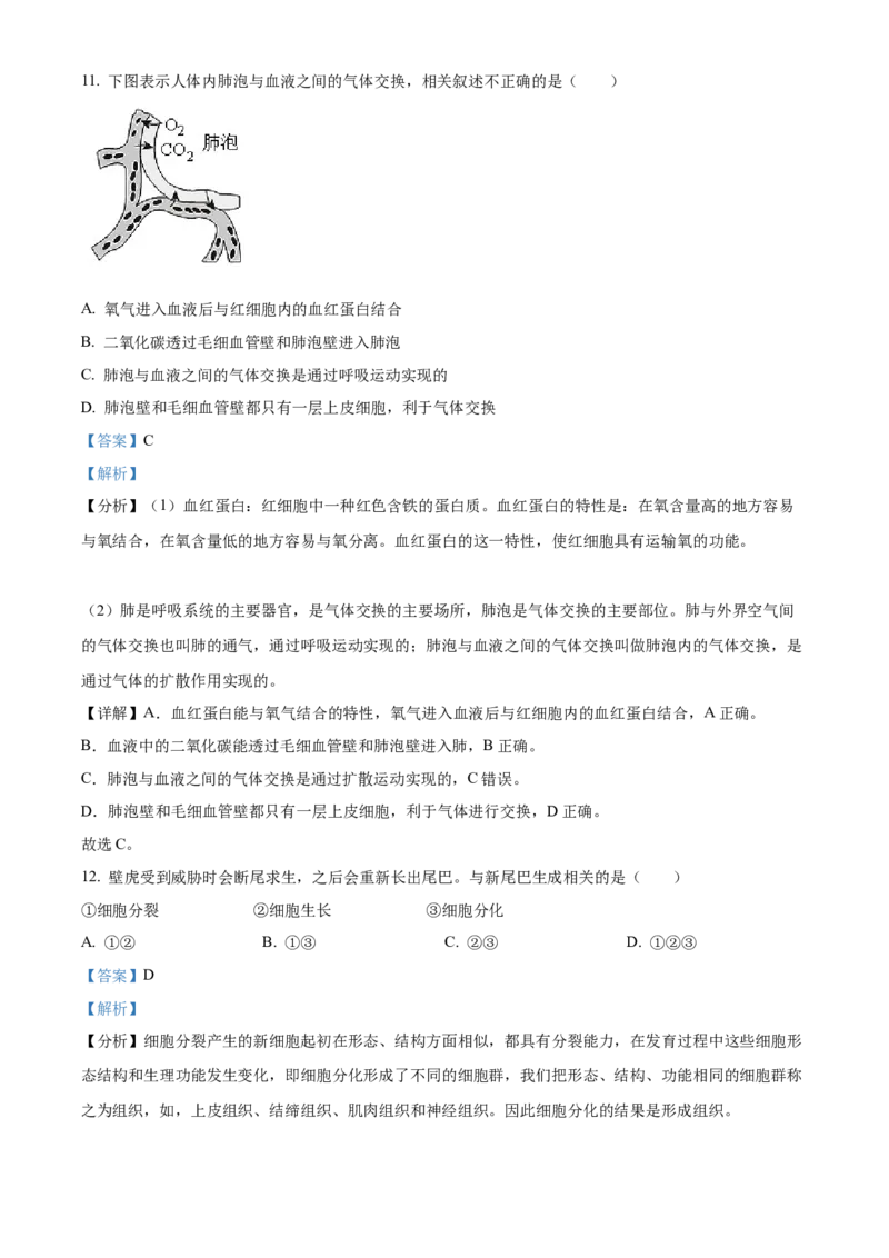 精品解析：2023年山东省烟台市中考生物真题（解析版）_new_6生物中考复习_2025中考复习资料_中考真题（近三年）_2023年生物中考真题