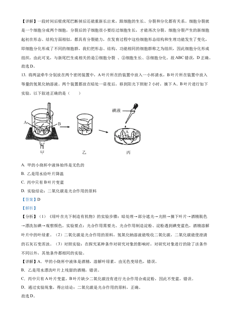 精品解析：2023年山东省烟台市中考生物真题（解析版）_new_6生物中考复习_2025中考复习资料_中考真题（近三年）_2023年生物中考真题