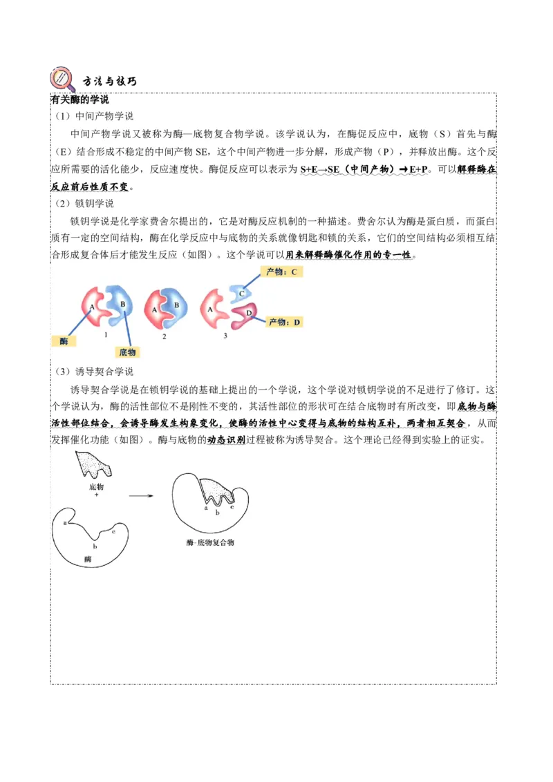题型4与酶相关的实验设计与分析（题型归纳）（解析版）_新高考复习资料_2023年新高考复习资料_二轮复习_技巧点拨备战2023年高考生物二轮题型复习讲解286731240