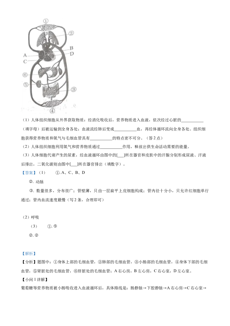 精品解析：2023年湖南益阳中考生物真题（解析版）_new_6生物中考复习_2025中考复习资料_中考真题（近三年）_2023年生物中考真题