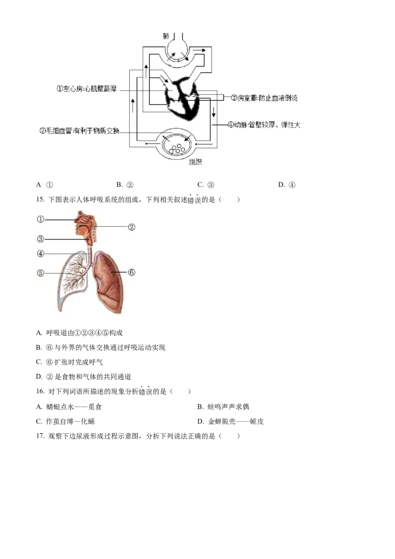 精品解析：2023年四川省广安市中考生物真题（原卷版）_new_6生物中考复习_2025中考复习资料_中考真题（近三年）_2023年生物中考真题