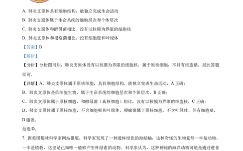 重庆市七校联考2024-2025学年高一上学期第一次月考生物试题Word版含解析_2024年11月试卷_1105重庆市七校联考2024-2025学年高一上学期第一次月考