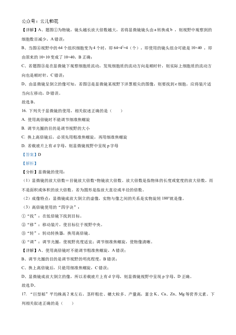 重庆市七校联考2024-2025学年高一上学期第一次月考生物试题Word版含解析_2024年11月试卷_1105重庆市七校联考2024-2025学年高一上学期第一次月考