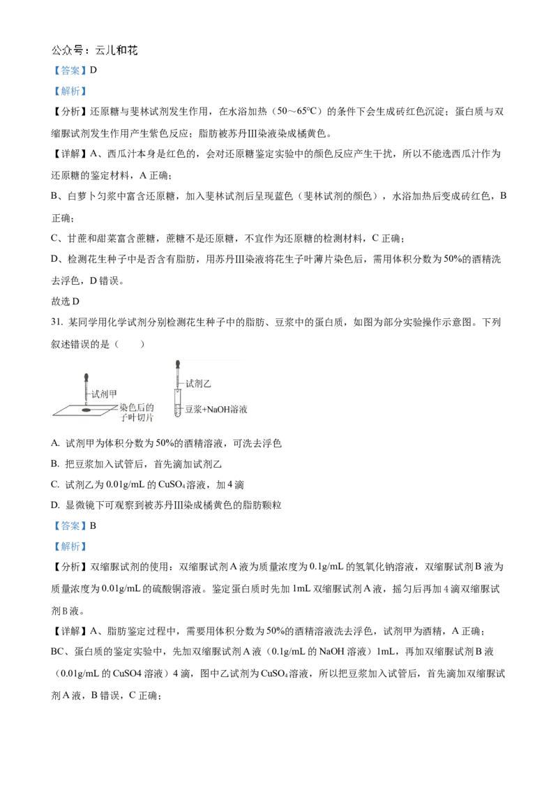 重庆市七校联考2024-2025学年高一上学期第一次月考生物试题Word版含解析_2024年11月试卷_1105重庆市七校联考2024-2025学年高一上学期第一次月考
