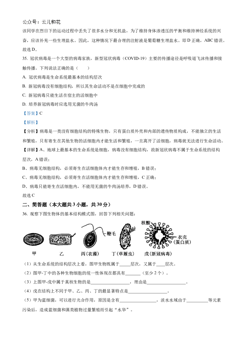 重庆市七校联考2024-2025学年高一上学期第一次月考生物试题Word版含解析_2024年11月试卷_1105重庆市七校联考2024-2025学年高一上学期第一次月考