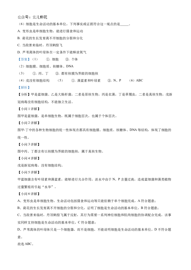 重庆市七校联考2024-2025学年高一上学期第一次月考生物试题Word版含解析_2024年11月试卷_1105重庆市七校联考2024-2025学年高一上学期第一次月考