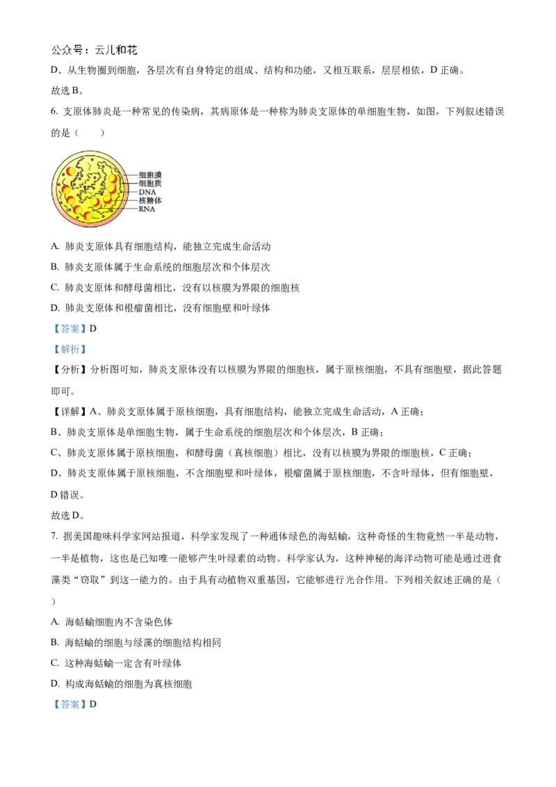 重庆市七校联考2024-2025学年高一上学期第一次月考生物试题Word版含解析_2024年11月试卷_1105重庆市七校联考2024-2025学年高一上学期第一次月考
