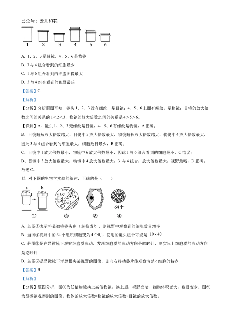 重庆市七校联考2024-2025学年高一上学期第一次月考生物试题Word版含解析_2024年11月试卷_1105重庆市七校联考2024-2025学年高一上学期第一次月考