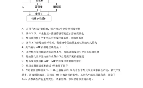 重难点05酶、ATP以及细胞呼吸（原卷版）_通用版（老高考）复习资料_2023年复习资料_专项复习_2023年高考生物热点&middot;重点&middot;难点专练（全国通用）