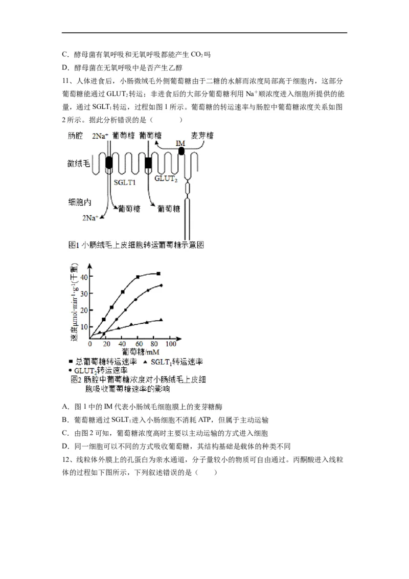 重难点05酶、ATP以及细胞呼吸（原卷版）_通用版（老高考）复习资料_2023年复习资料_专项复习_2023年高考生物热点&middot;重点&middot;难点专练（全国通用）