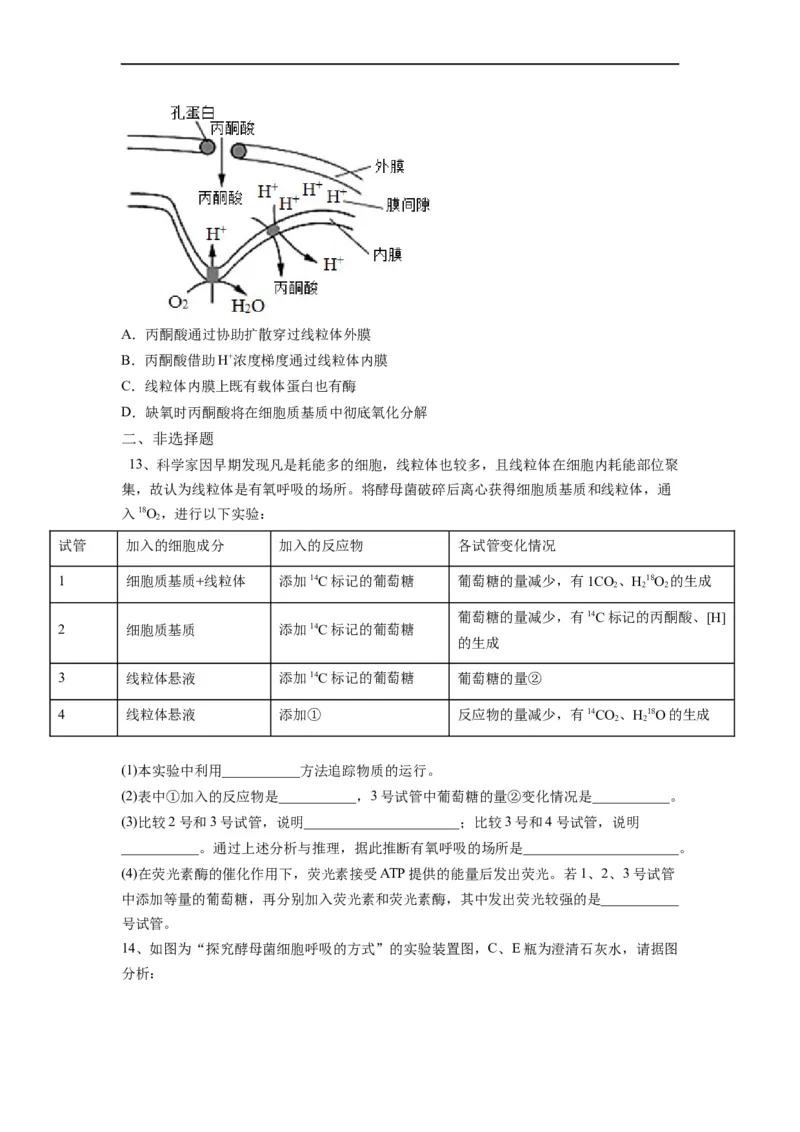 重难点05酶、ATP以及细胞呼吸（原卷版）_通用版（老高考）复习资料_2023年复习资料_专项复习_2023年高考生物热点&middot;重点&middot;难点专练（全国通用）