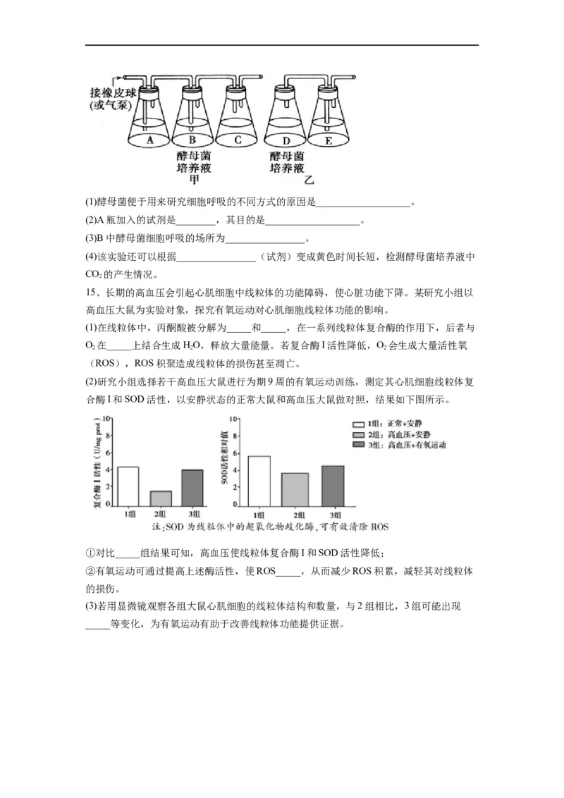 重难点05酶、ATP以及细胞呼吸（原卷版）_通用版（老高考）复习资料_2023年复习资料_专项复习_2023年高考生物热点&middot;重点&middot;难点专练（全国通用）