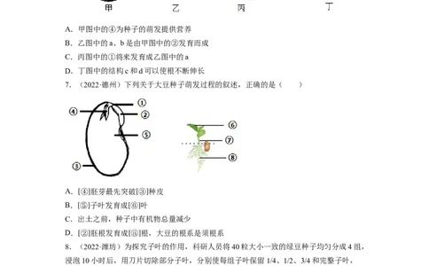 重难点04生物圈中的绿色植物（二）-2023年中考生物热点&middot;重点&middot;难点专练（全国通用）（原卷版）_6生物中考复习_2023年中考复习资料_专项复习