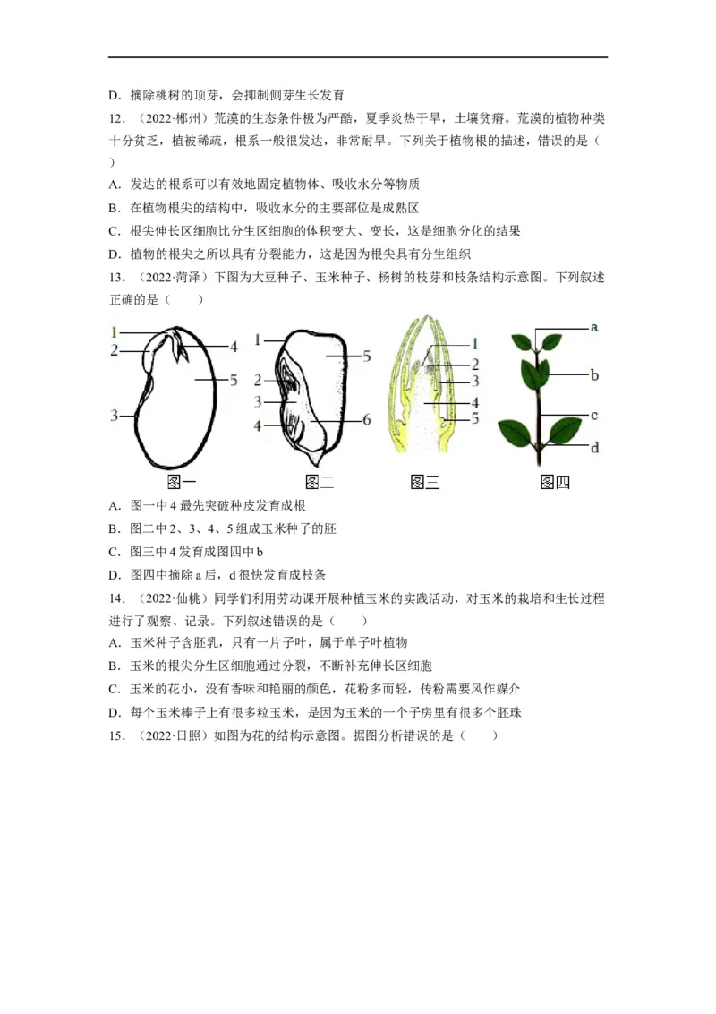 重难点04生物圈中的绿色植物（二）-2023年中考生物热点&middot;重点&middot;难点专练（全国通用）（原卷版）_6生物中考复习_2023年中考复习资料_专项复习