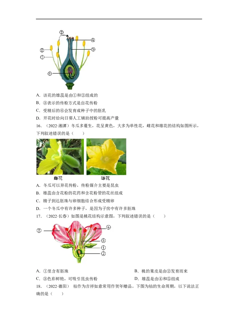 重难点04生物圈中的绿色植物（二）-2023年中考生物热点&middot;重点&middot;难点专练（全国通用）（原卷版）_6生物中考复习_2023年中考复习资料_专项复习