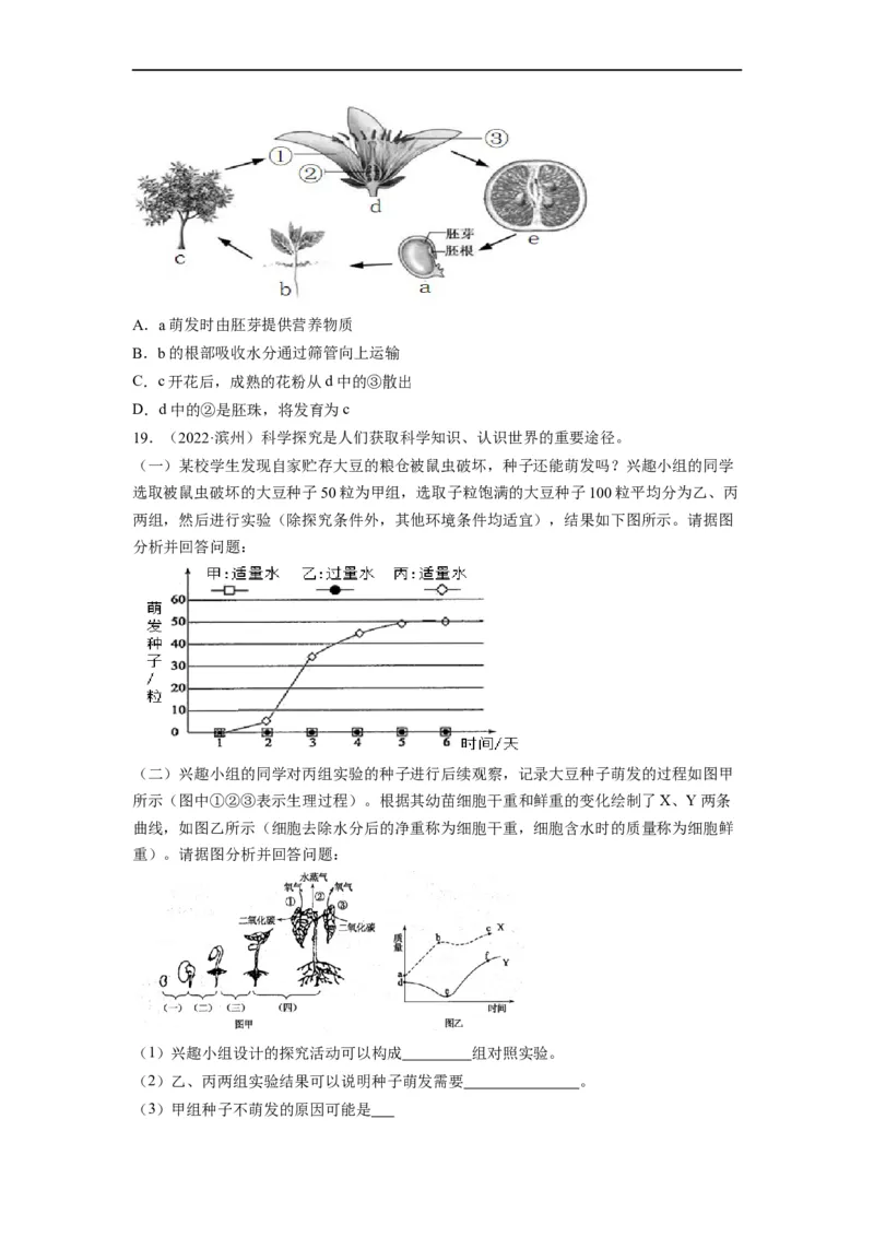 重难点04生物圈中的绿色植物（二）-2023年中考生物热点&middot;重点&middot;难点专练（全国通用）（原卷版）_6生物中考复习_2023年中考复习资料_专项复习