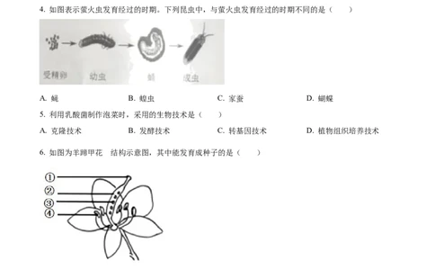 精品解析：2023年辽宁省营口市中考生物真题（原卷版）_new_6生物中考复习_2025中考复习资料_中考真题（近三年）_2023年生物中考真题