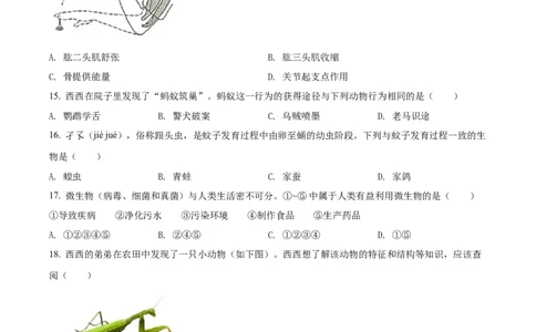 精品解析：2022年陕西省中考生物真题（A卷）（原卷版）_6生物中考复习_2025中考复习资料_中考真题（近三年）_2022年生物中考真题114份_精品解析：2022年陕西省中考生物真题（A卷）