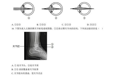 精品解析：2024年河北省八年级中考生物真题（原卷版）_new_6生物中考复习_2025中考复习资料_中考真题（近三年）_2024年生物中考真题