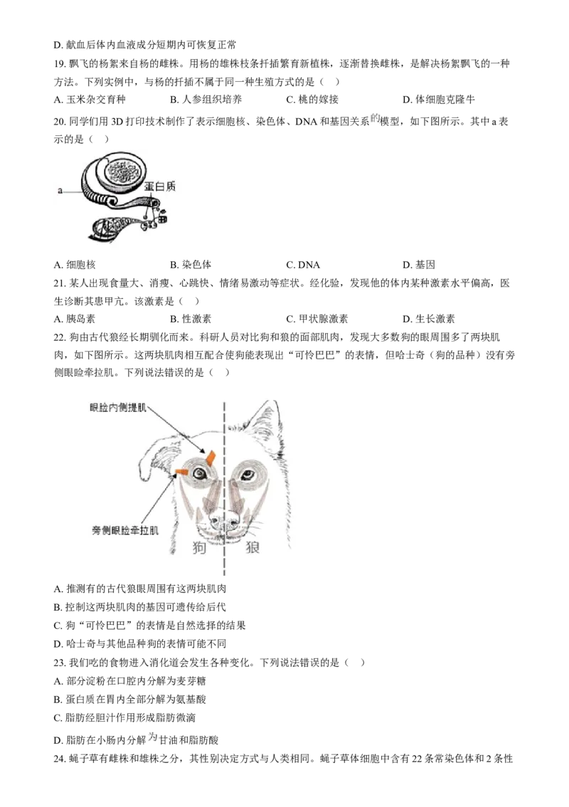 精品解析：2024年河北省八年级中考生物真题（原卷版）_new_6生物中考复习_2025中考复习资料_中考真题（近三年）_2024年生物中考真题