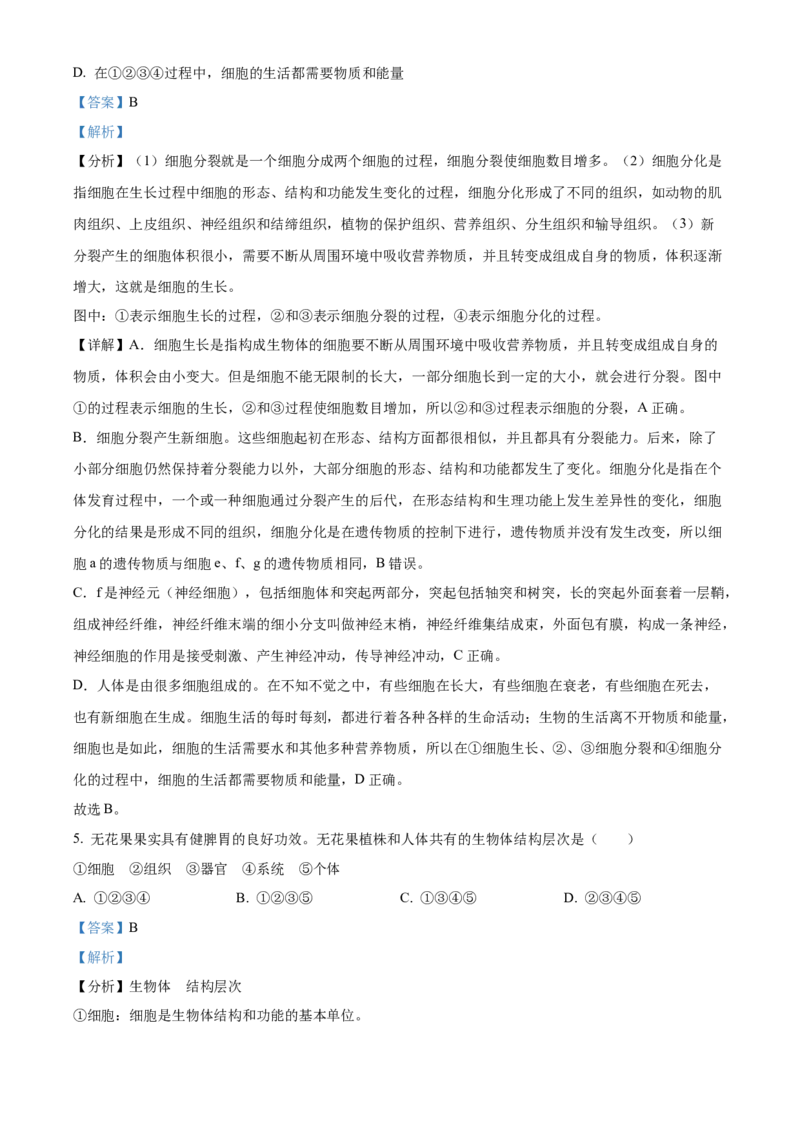 精品解析：2022年广西贺州市中考生物真题（解析版）_6生物中考复习_2025中考复习资料_中考真题（近三年）_2022年生物中考真题114份_精品解析：2022年广西贺州市中考生物真题