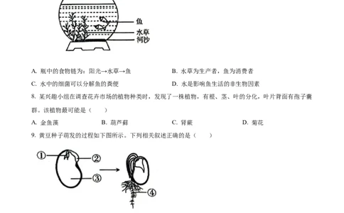 精品解析：2024年新疆生产建设兵团中考生物试题（原卷版）_new_6生物中考复习_2025中考复习资料_中考真题（近三年）_2024年生物中考真题