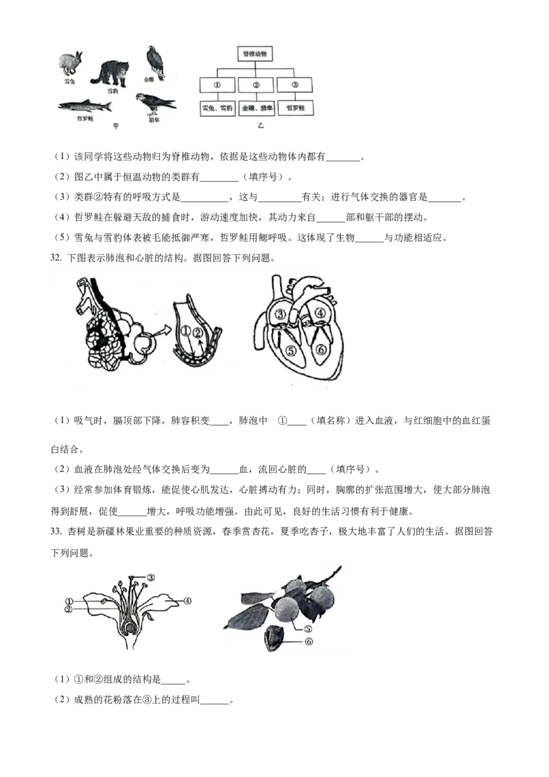 精品解析：2024年新疆生产建设兵团中考生物试题（原卷版）_new_6生物中考复习_2025中考复习资料_中考真题（近三年）_2024年生物中考真题