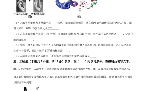 精品解析：2022年辽宁省大连市中考生物真题（原卷版）_6生物中考复习_2025中考复习资料_中考真题（近三年）_2022年生物中考真题114份_精品解析：2022年辽宁省大连市中考生物真题