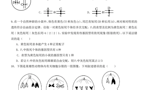 高一3月月考生物卷(1)_2025年03月试卷_0328四川省南充市嘉陵一中2024-2025学年高一下学期3月月考试题_四川省南充市嘉陵一中2024-2025学年高一下学期3月月考试题生物Word版含答案