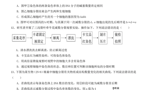 高一3月月考生物卷(1)_2025年03月试卷_0328四川省南充市嘉陵一中2024-2025学年高一下学期3月月考试题_四川省南充市嘉陵一中2024-2025学年高一下学期3月月考试题生物Word版含答案