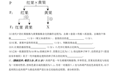高一3月月考生物卷(1)_2025年03月试卷_0328四川省南充市嘉陵一中2024-2025学年高一下学期3月月考试题_四川省南充市嘉陵一中2024-2025学年高一下学期3月月考试题生物Word版含答案
