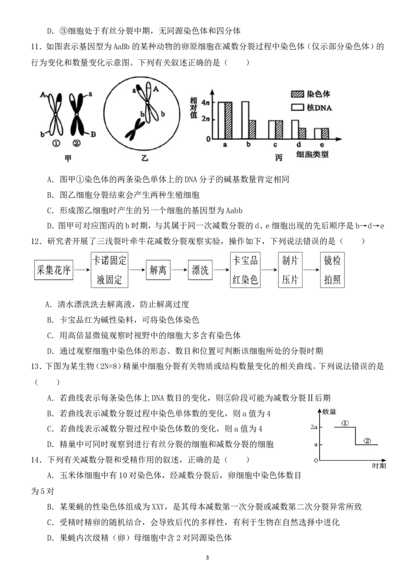 高一3月月考生物卷(1)_2025年03月试卷_0328四川省南充市嘉陵一中2024-2025学年高一下学期3月月考试题_四川省南充市嘉陵一中2024-2025学年高一下学期3月月考试题生物Word版含答案