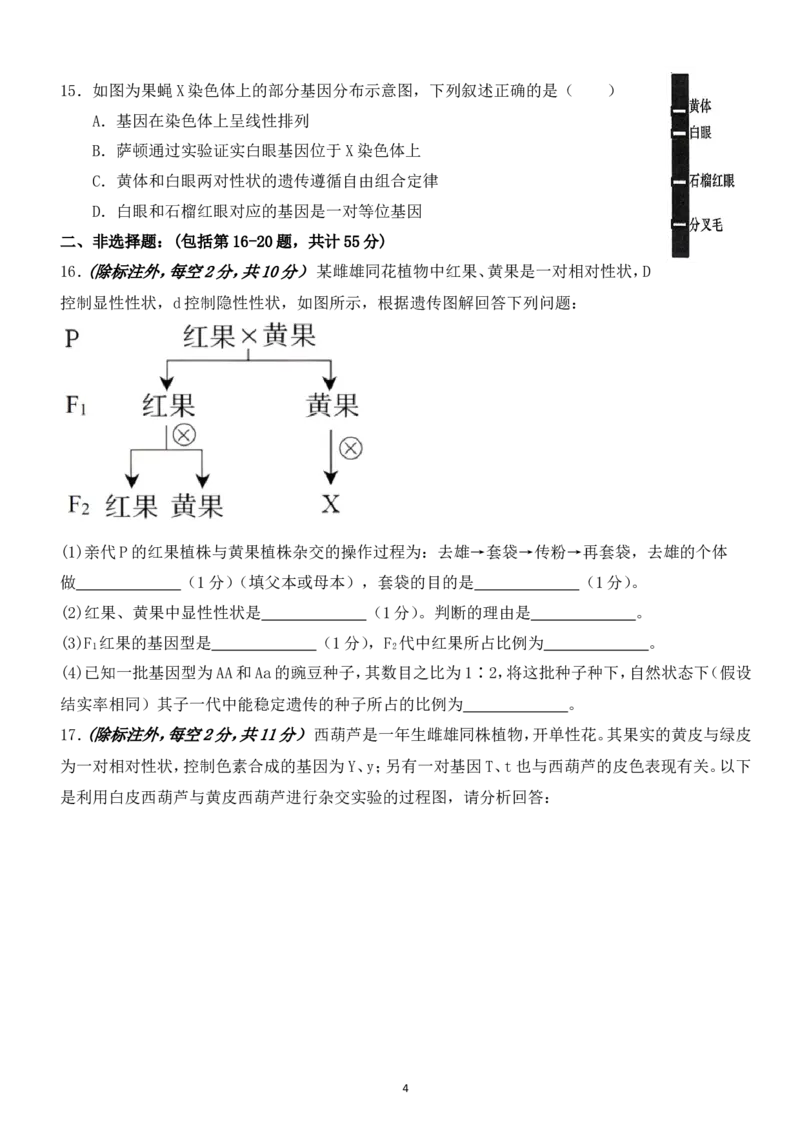 高一3月月考生物卷(1)_2025年03月试卷_0328四川省南充市嘉陵一中2024-2025学年高一下学期3月月考试题_四川省南充市嘉陵一中2024-2025学年高一下学期3月月考试题生物Word版含答案
