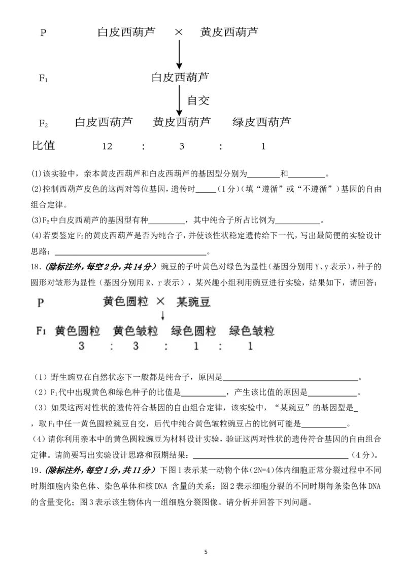 高一3月月考生物卷(1)_2025年03月试卷_0328四川省南充市嘉陵一中2024-2025学年高一下学期3月月考试题_四川省南充市嘉陵一中2024-2025学年高一下学期3月月考试题生物Word版含答案