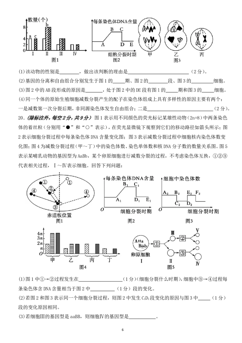 高一3月月考生物卷(1)_2025年03月试卷_0328四川省南充市嘉陵一中2024-2025学年高一下学期3月月考试题_四川省南充市嘉陵一中2024-2025学年高一下学期3月月考试题生物Word版含答案
