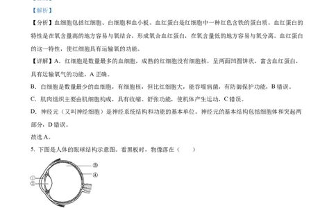 精品解析：2023年福建省中考生物真题（解析版）_new_6生物中考复习_2025中考复习资料_中考真题（近三年）_2023年生物中考真题