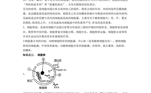 重难点03细胞器、细胞膜与细胞核（原卷版）_通用版（老高考）复习资料_2023年复习资料_专项复习_2023年高考生物热点&middot;重点&middot;难点专练（全国通用）