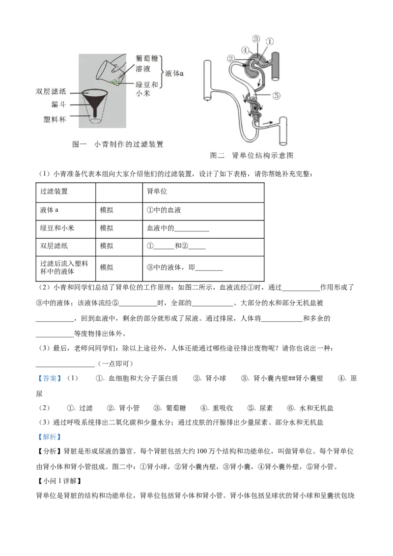 精品解析：2023年山西省阳泉市中考生物真题（解析版）_new_6生物中考复习_2025中考复习资料_中考真题（近三年）_2023年生物中考真题