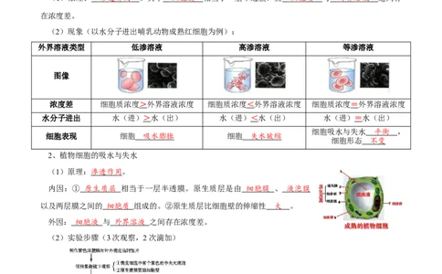 题型3物质进出细胞的方式（核心知识）（解析版）_新高考复习资料_2023年新高考复习资料_二轮复习_技巧点拨备战2023年高考生物二轮题型复习讲解286731240