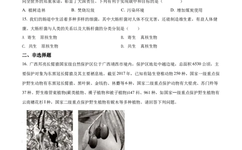 精品解析：2022年百色市中考生物真题（原卷版）_6生物中考复习_2025中考复习资料_中考真题（近三年）_2022年生物中考真题114份_精品解析：2022年百色市中考生物真题
