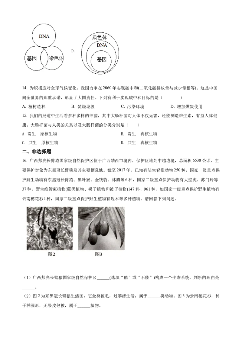 精品解析：2022年百色市中考生物真题（原卷版）_6生物中考复习_2025中考复习资料_中考真题（近三年）_2022年生物中考真题114份_精品解析：2022年百色市中考生物真题