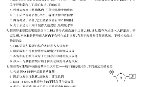 陕西省咸阳市实验中学2025-2026学年高一上学期第二次质量检测生物试卷含答案_2025年12月高一试卷_251208陕西省咸阳市实验中学2025-2026学年高一上学期第二次质量检测（全）