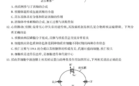 陕西省咸阳市实验中学2025-2026学年高一上学期第二次质量检测生物试卷含答案_2025年12月高一试卷_251208陕西省咸阳市实验中学2025-2026学年高一上学期第二次质量检测（全）