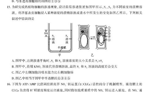陕西省咸阳市实验中学2025-2026学年高一上学期第二次质量检测生物试卷含答案_2025年12月高一试卷_251208陕西省咸阳市实验中学2025-2026学年高一上学期第二次质量检测（全）