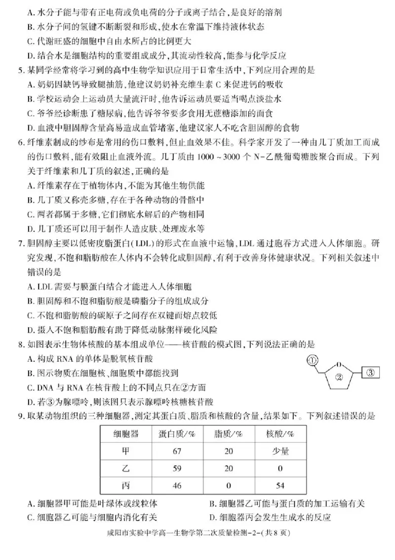 陕西省咸阳市实验中学2025-2026学年高一上学期第二次质量检测生物试卷含答案_2025年12月高一试卷_251208陕西省咸阳市实验中学2025-2026学年高一上学期第二次质量检测（全）