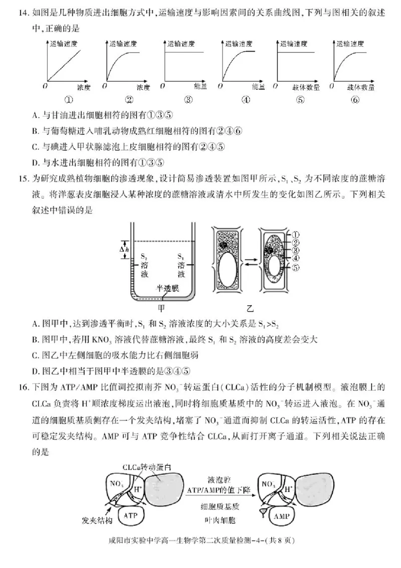陕西省咸阳市实验中学2025-2026学年高一上学期第二次质量检测生物试卷含答案_2025年12月高一试卷_251208陕西省咸阳市实验中学2025-2026学年高一上学期第二次质量检测（全）