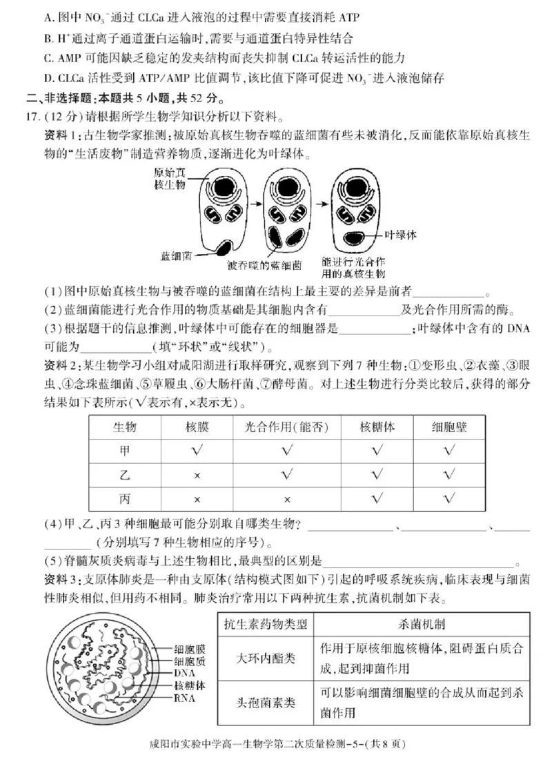 陕西省咸阳市实验中学2025-2026学年高一上学期第二次质量检测生物试卷含答案_2025年12月高一试卷_251208陕西省咸阳市实验中学2025-2026学年高一上学期第二次质量检测（全）
