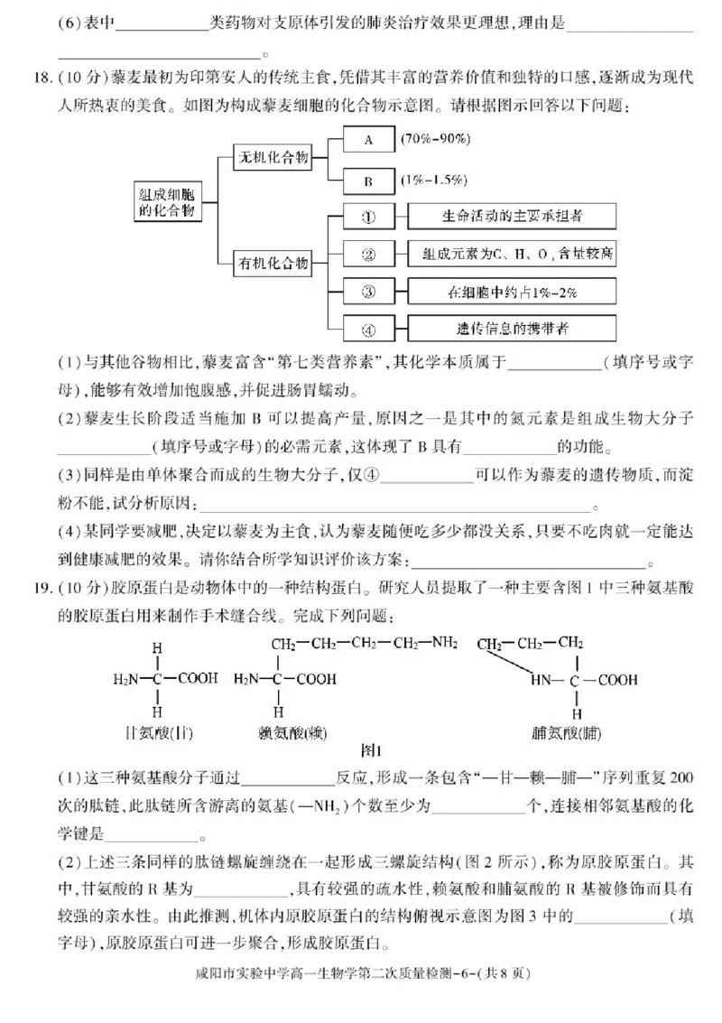 陕西省咸阳市实验中学2025-2026学年高一上学期第二次质量检测生物试卷含答案_2025年12月高一试卷_251208陕西省咸阳市实验中学2025-2026学年高一上学期第二次质量检测（全）
