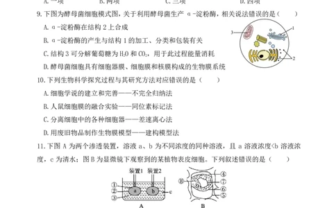 高一下月考生物试卷_2026年03月高一试卷_260329湖北省荆州市荆州中学2025-2026学年高一下学期3月月考（全科）_湖北省荆州市荆州中学2025-2026学年高一下学期3月月考生物试卷