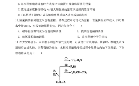 高一下月考生物试卷_2026年03月高一试卷_260329湖北省荆州市荆州中学2025-2026学年高一下学期3月月考（全科）_湖北省荆州市荆州中学2025-2026学年高一下学期3月月考生物试卷